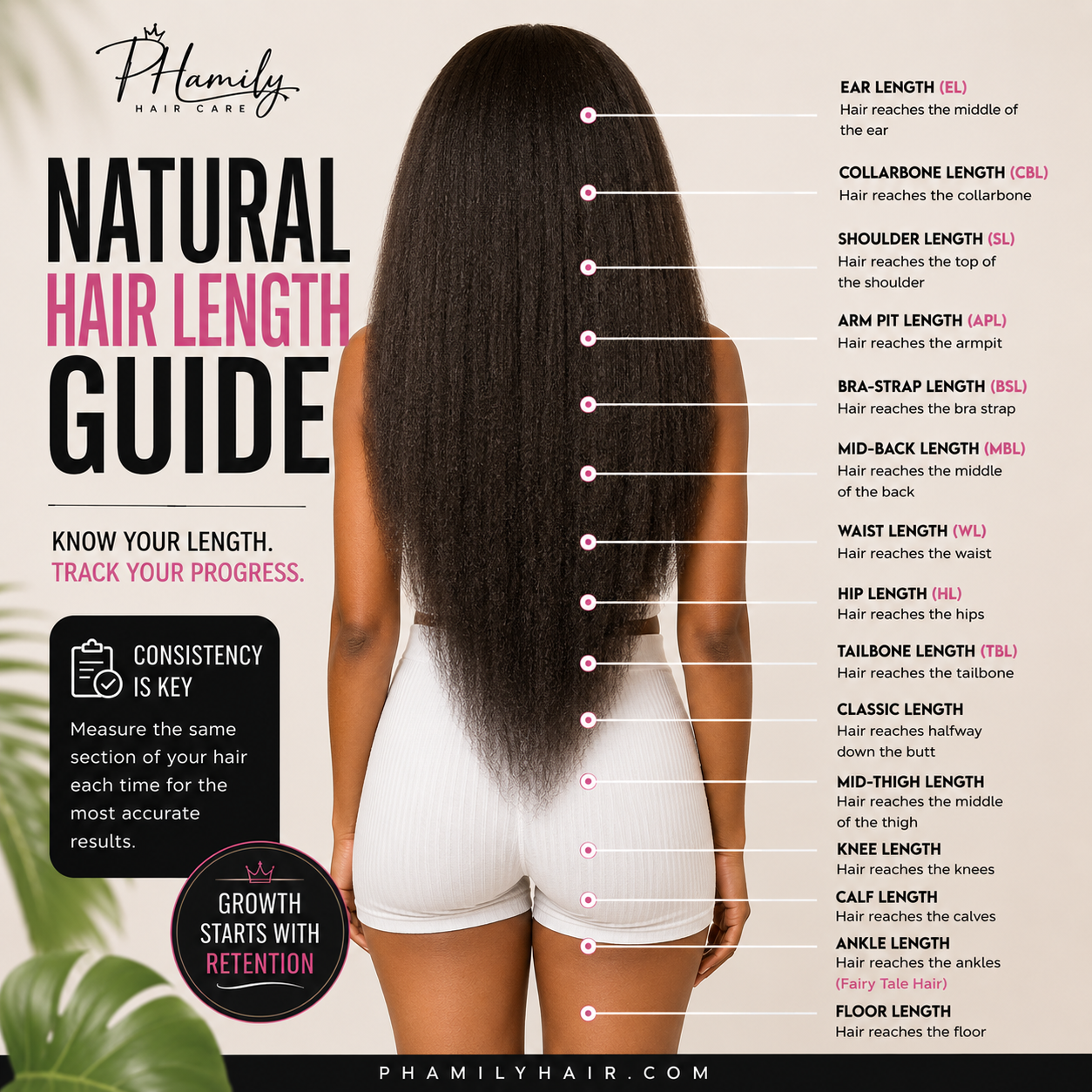 STOP GUESSING: HOW TO TRACK HAIR GROWTH AND RETENTION ACCURATELY